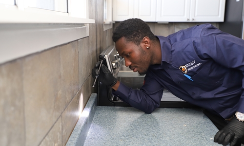Pest Detection Service Ontario