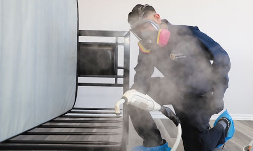 Pest Elimination Treatment Ontario