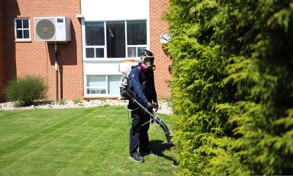 Residential backyard mosquito control