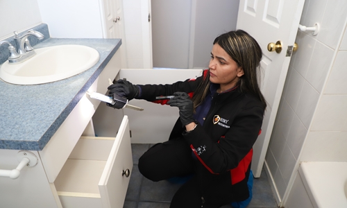 Pest Prevention and Protection Ontario