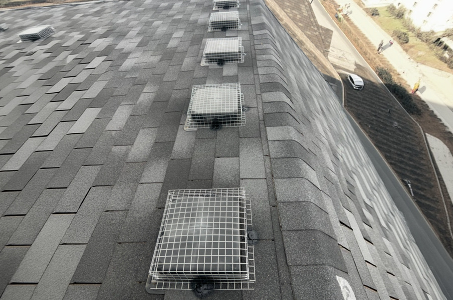 Roof exclusion mesh to prevent wildlife re-entry