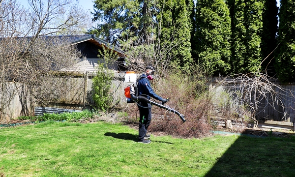 Outdoor venue and patio mosquito control