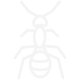 Ant species commonly found in Ontario homes